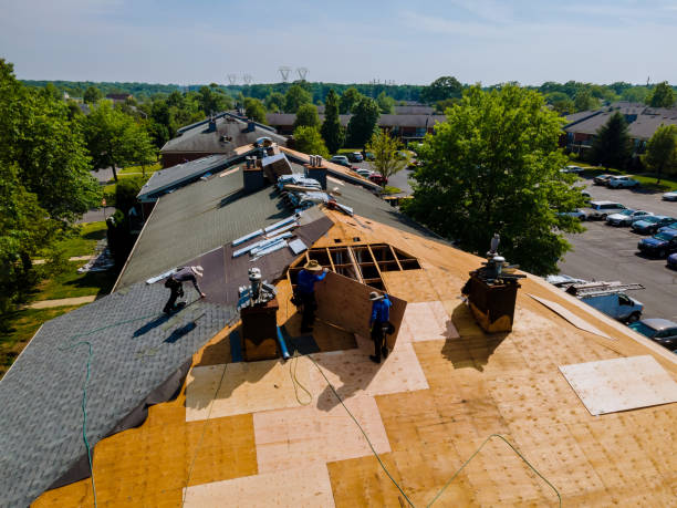 Quick and Trustworthy Emergency Roof Repair Services in Warren, MI