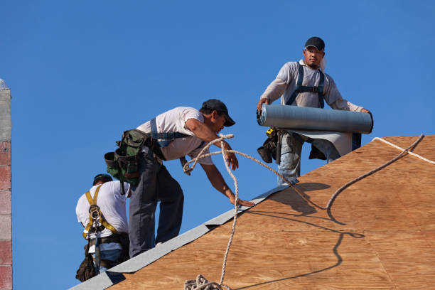 Professional Roofing Contractor in Warren, MI