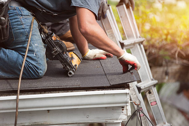 Best Roof Repair Services  in Warren, MI