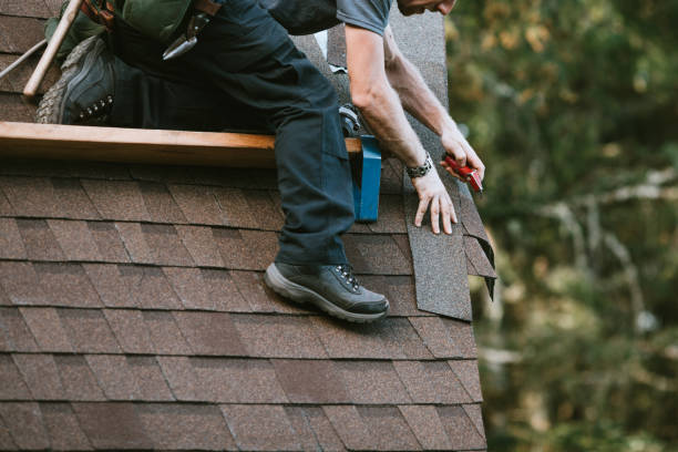 Best Roof Waterproofing Services  in Warren, MI