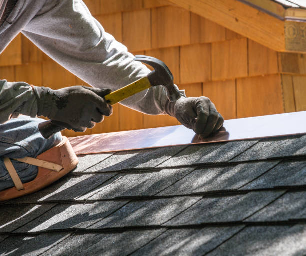 Best Residential Roofing Contractor  in Warren, MI